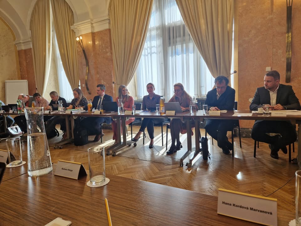 Hana Kordová Marvanová